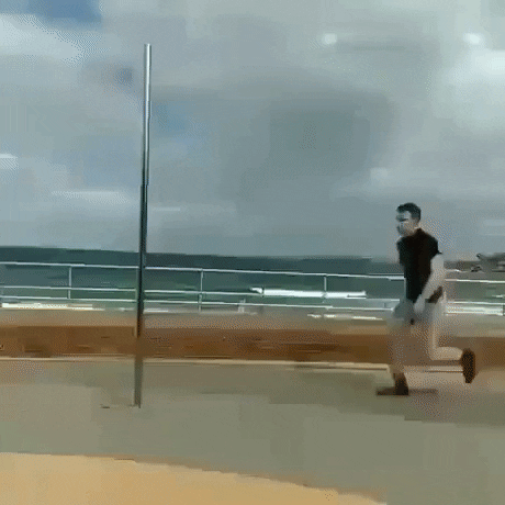 gif-vif giphyupload gifvif defying gravity GIF