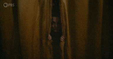 Opening the Curtains 