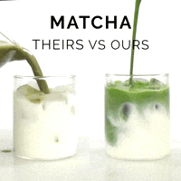 GIF by Craft Tea Fox