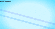 Best Friends Forever Friendship GIF by wishafriend