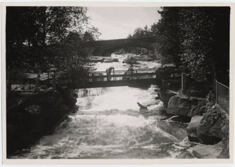 water river GIF by Kathryn A. Martin Library