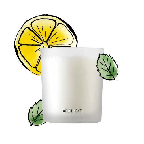 Apotheke-Co giphyupload gif summer candle Sticker