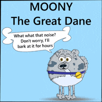 A-Headful great dane moony aheadful a headful GIF