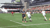 No Way Omg GIF by National Women's Soccer League