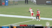Regular Season Football GIF by NFL