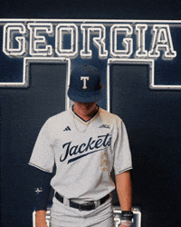 Georgia Tech Baseball GIF by Georgia Tech Yellow Jackets