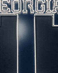 Georgia Tech Baseball GIF by Georgia Tech Yellow Jackets