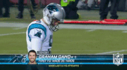 carolina panthers football GIF by NFL