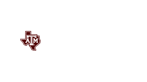 texas am sport Sticker by Texas A&M University