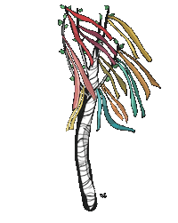 Festival Tree Sticker