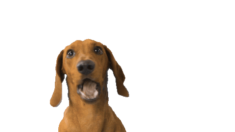 Comida No Te Creo Sticker by Platica Polinesia