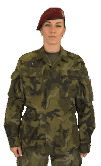 Sleepy Army Sticker by Armáda České republiky