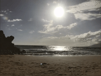 by BECKY'S INCREDIBLE GIF COLLECTION
