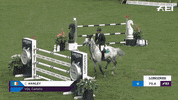 FEI_Global reaction happy sport yes GIF