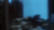 christmas movies gremlins GIF