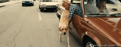 marley & me running GIF by 20th Century Fox Home Entertainment