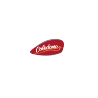 galletascaledonia chocolate cookies oreo galletas Sticker