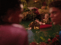 I Drink Wine GIF by Adele