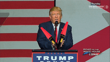 GIF by The Daily Show with Trevor Noah