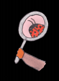 Ladybug Spamhour GIF by sam maurer