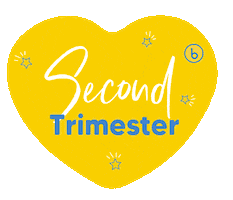 Bubzi baby pregnant pregnancy birth Sticker