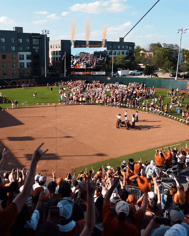 Softball GIF by Texas Longhorns