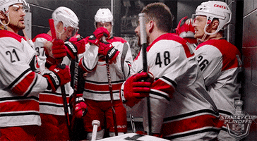 high five ice hockey GIF by NHL