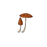 EssieBear forest mushroom cottagecore fungi Sticker