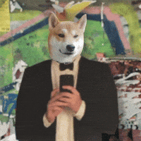 Shiba Inu Selfie GIF