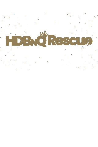 Cat Rescue Sticker by HDBnQ Rescue