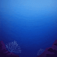 Protect Beach Day GIF by INTO ACTION