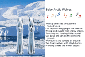 Animated Cards GIF