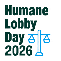 Tafa Sticker by Humane World for Animals