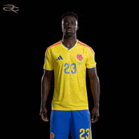 Fifa World Cup Colombia GIF by Respective
