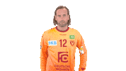 Handball-Bundesliga Berlin Sticker by LIQUI MOLY HBL