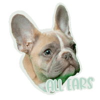 Best Friend Yes Sticker