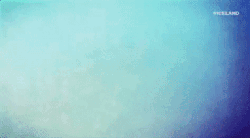 viceland GIF by Party Legends