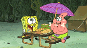 GIF by SpongeBob SquarePants