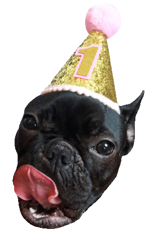 Licking French Bulldog Sticker