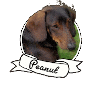 Joe Swash Smile Sticker by BBC