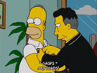 homer simpson GIF