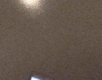 dogs augmented reality GIF