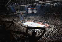 Serbia Partizan GIF