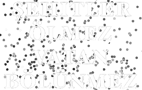 15 Temmuz Millet Sticker by Miyase