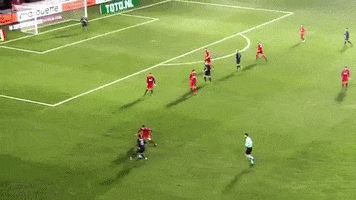 goal justin GIF by nss sports
