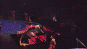 Style Cheer GIF by Ringling Bros. and Barnum & Bailey