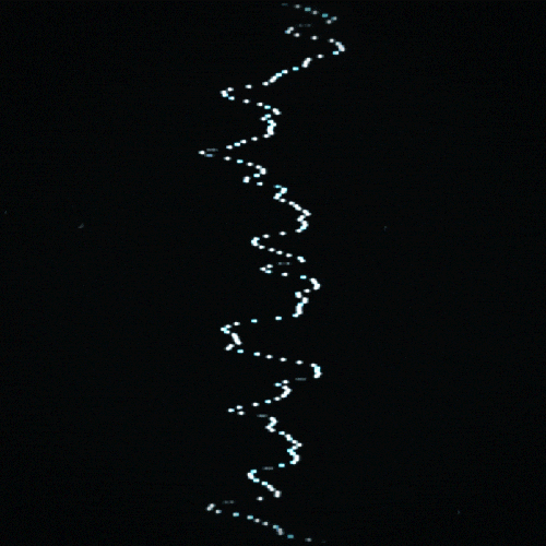 glow black and white GIF by Erica Anderson