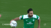 happy soccer GIF by SV Werder Bremen