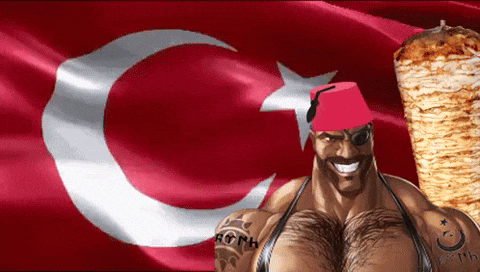Turkey T GIF