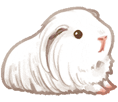 Guinea Pig Abby Sticker